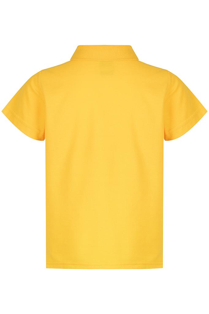 Back - 3312063
