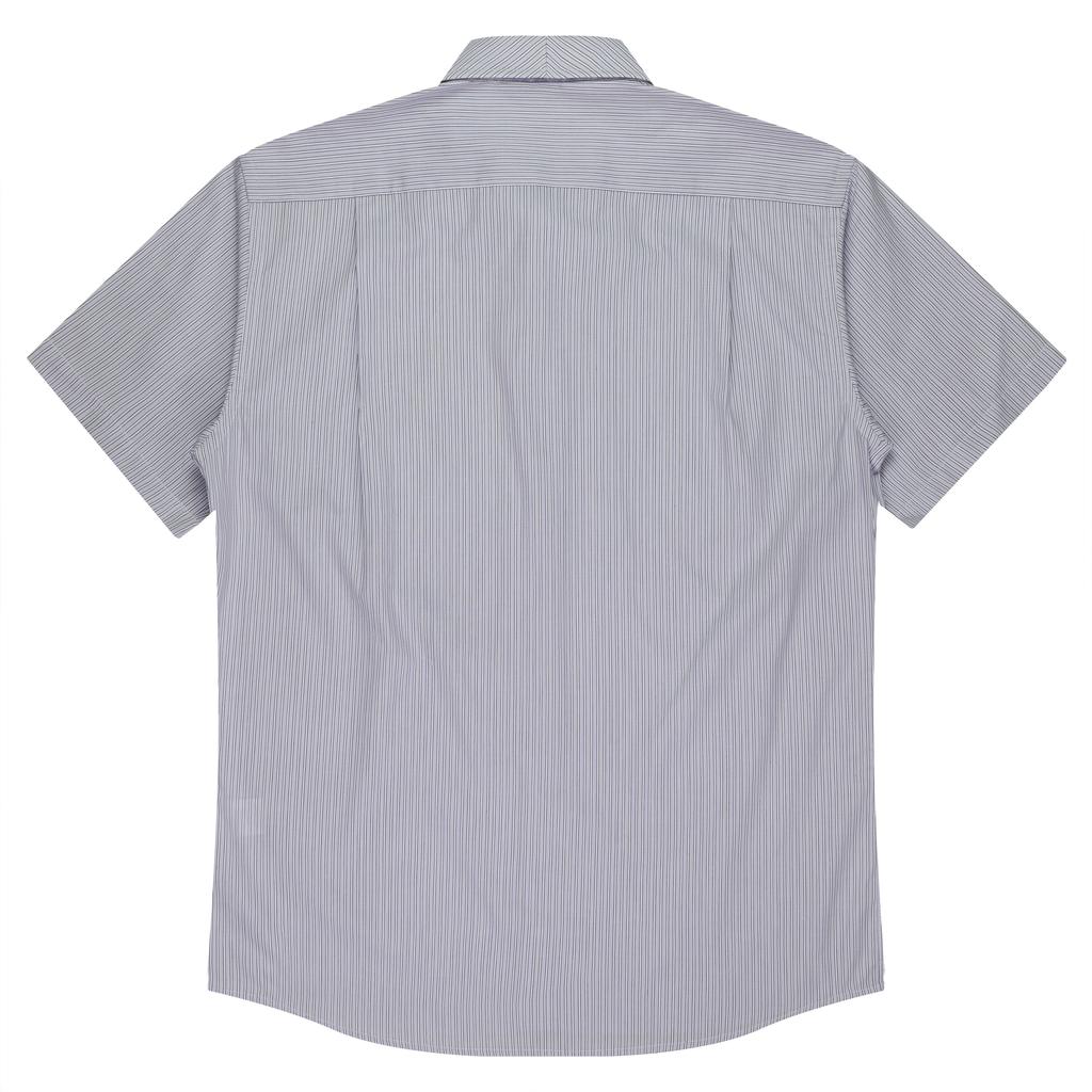 Back - 1906S01199
