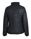 Back View - 2522028