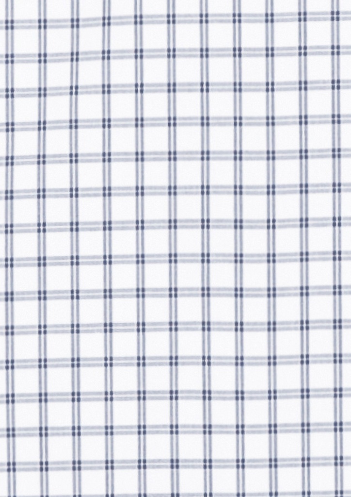 White/Storm Blue Check