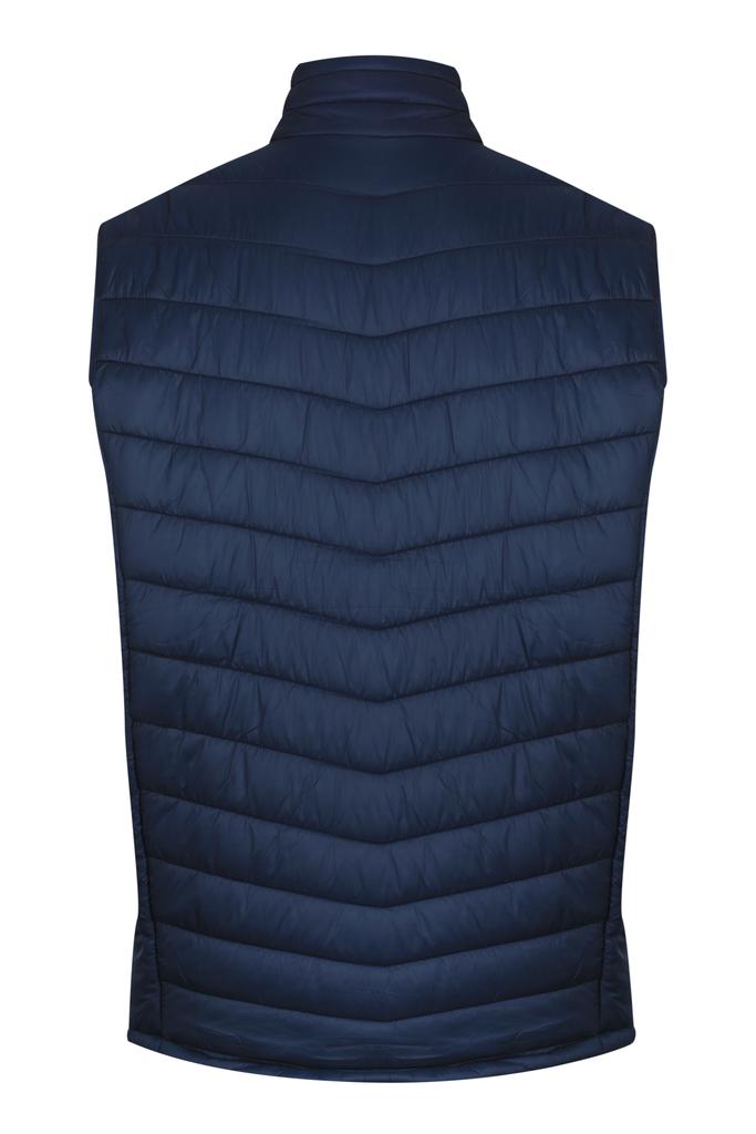 Back View - 1523089