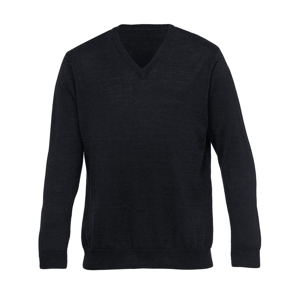 EGMDP - Merino Detailed Vee Pullover - Mens