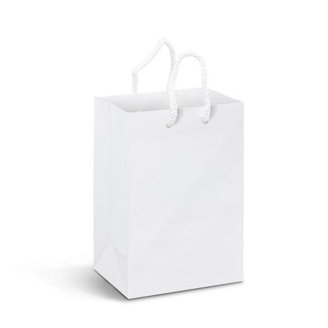 [116934] Small Laminated Paper Carry Bag - Full Colour - 116934
