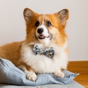 Amigo Pet Bow Tie - 125067