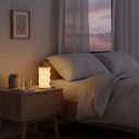 Luma Foldable Lantern - 129245